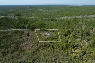 3 Acres Antioch Cemetery Rd, Ponce de Leon, FL 32455 - Photo 14