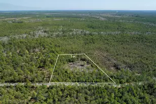 3 Acres Antioch Cemetery Rd, Ponce de Leon, FL 32455 - Photo 12