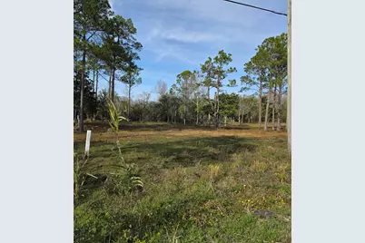 Lot 27 W St Highway 20 W, Freeport, FL 32439 - Photo 2