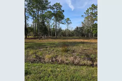 Lot 27 W St Highway 20 W, Freeport, FL 32439 - Photo 1