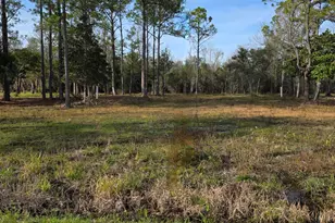 Lot 27 W St Hwy 20 W, Freeport, FL 32439 - Photo 1