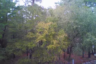 Tbd Ruckel Dr, Niceville, FL 32578 - Photo 2