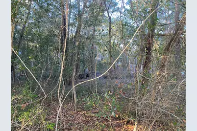 Tbd Ruckel Drive, Niceville, FL 32578 - Photo 6