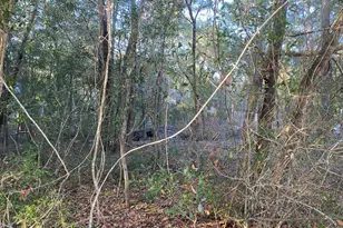 Tbd Ruckel Dr, Niceville, FL 32578 - Photo 6