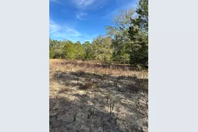 5225 Kimp Road, Crestview, FL 32539 - Photo 4