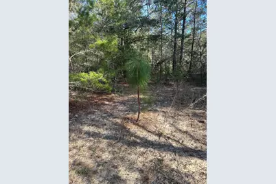 5225 Kimp Road, Crestview, FL 32539 - Photo 8