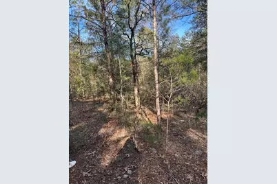 5225 Kimp Road, Crestview, FL 32539 - Photo 10