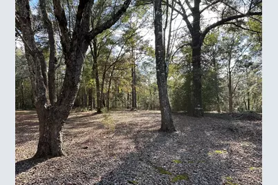 5895 Pineforest Drive, Crestview, FL 32539 - Photo 8