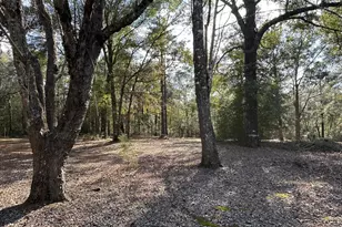 5895 Pineforest Dr, Crestview, FL 32539 - Photo 8