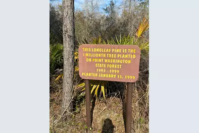 148 Channel Shoal Drive #Lot 1, Santa Rosa Beach, FL 32459 - Photo 10