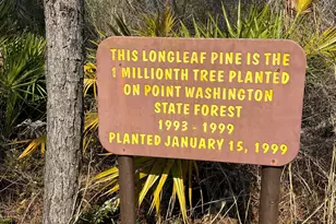 148 Channel Shl Dr, Santa Rosa Beach, FL 32459 - Photo 10