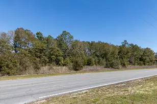 1 385 Acres On Walton Rd, Defuniak Springs, FL 32433 - Photo 4