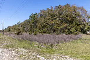 1 385 Acres On Walton Rd, Defuniak Springs, FL 32433 - Photo 6
