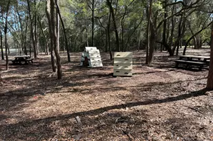 311 Sweet Basil Ln, Niceville, FL 32578 - Photo 78