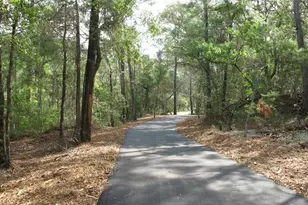 311 Sweet Basil Ln, Niceville, FL 32578 - Photo 76