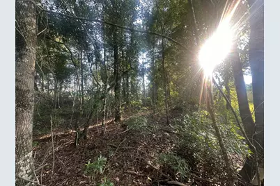 Parcel A Yellow River Baptist Church Road #22 AC+/-, Baker, FL 32531 - Photo 1