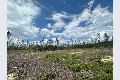 Parcel A Yellow River Baptist Church Road #22 AC+/-, Baker, FL 32531 - Photo 6