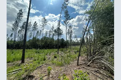 Parcel A Yellow River Baptist Church Road #22 AC+/-, Baker, FL 32531 - Photo 8