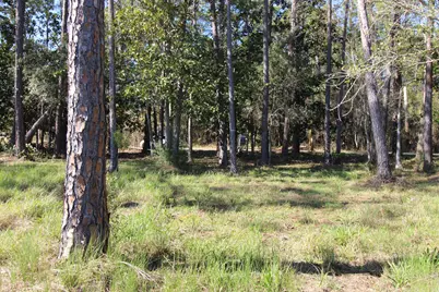 Lot 6 & 7 Alden Lane, Freeport, FL 32439 - Photo 16