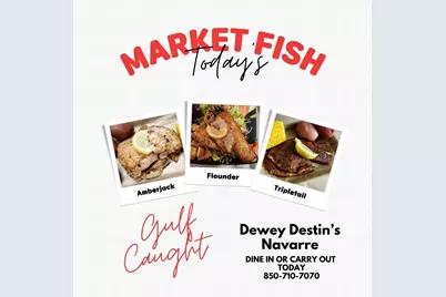 Lot 1 Wynnehaven Beach Road, Mary Esther, FL 32569 - Photo 18