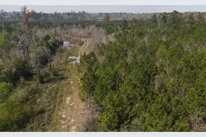 58+/ Acres South Street, Marianna, FL 32448 - Photo 16