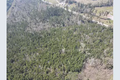 58+/ Acres South Street, Marianna, FL 32448 - Photo 8