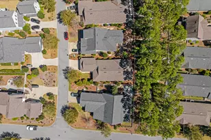 77 Cannonball Lane, Inlet Beach, FL 32461 - Photo 46