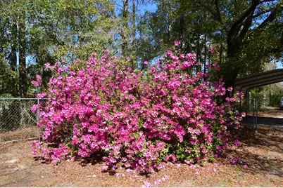 5825 Old Bethel Road, Crestview, FL 32536 - Photo 38