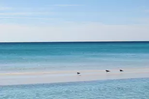 1303 Laurel Way, Miramar Beach, FL 32550 - Photo 42