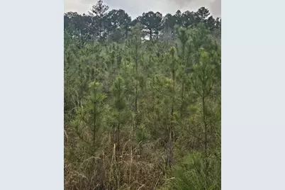 1400 Grant Road Road, Ponce de Leon, FL 32455 - Photo 8