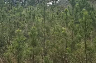 1400 Grant Road Rd, Ponce de Leon, FL 32455 - Photo 8