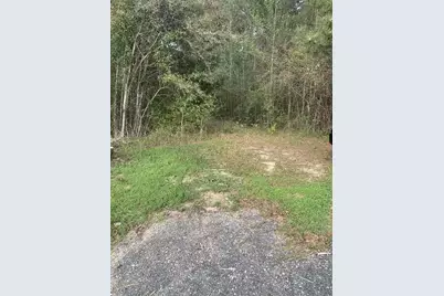 Xxx Works Road, Caryville, FL 32427 - Photo 4