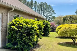 46 Hemingway Ln, Freeport, FL 32439 - Photo 14