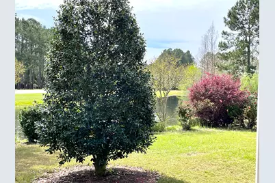 46 Hemingway Lane, Freeport, FL 32439 - Photo 12