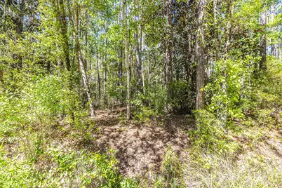 Lot 8  191 Mallet Road, Freeport, FL 32439 - Photo 8