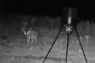 10712 US 331 N, Defuniak Springs, FL 32433 - Photo 54