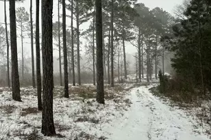 10712 US 331 N, Defuniak Springs, FL 32433 - Photo 56