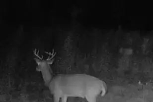 10712 US 331 N, Defuniak Springs, FL 32433 - Photo 52