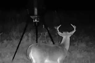 10712 US 331 N, Defuniak Springs, FL 32433 - Photo 48