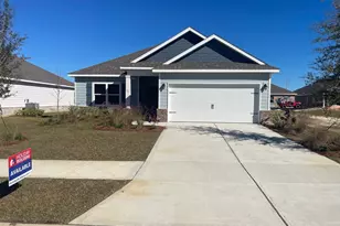 55 Splendor Run, Freeport, FL 32439 - Photo 1