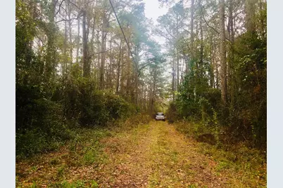 Tbd 2 Acres County Hwy 3280, Freeport, FL 32439 - Photo 4