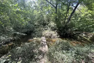 92 Hummingbird Ln, Ponce de Leon, FL 32455 - Photo 36