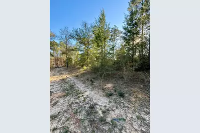 3.45 Acres Bob McCaskill Drive, Defuniak Springs, FL 32433 - Photo 6