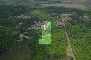 15766 NE Bob Sanders Road NE, Hosford, FL N/A - Photo 20