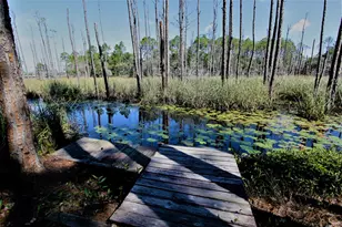 368 Canal St, Santa Rosa Beach, FL 32459 - Photo 6