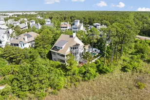 68 Creek Bridge Way, Watersound, FL 32461 - Photo 10