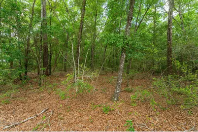 5.31 Ac Xx John Nix Road, Crestview, FL 32539 - Photo 10