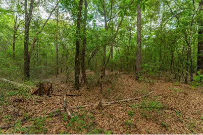 5.31 Ac Xx John Nix Road, Crestview, FL 32539 - Photo 8