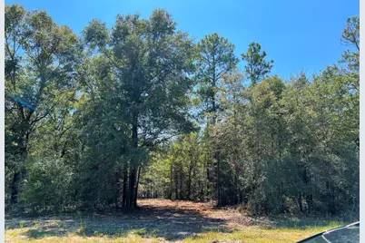 10.7 Acres Juniper Lake Road, Defuniak Springs, FL 32433 - Photo 6