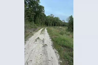 Lot 38 Holly Lake Court, Defuniak Springs, FL 32433 - Photo 4